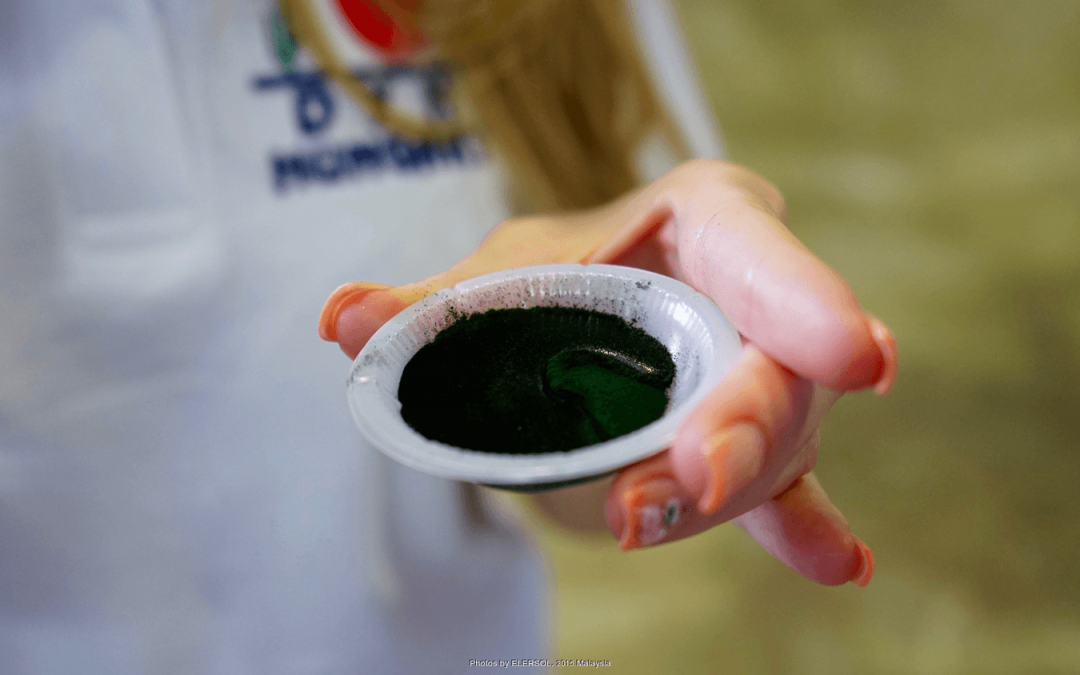 Spirulina, a kék-zöld alga